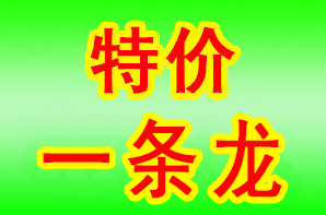 1664330934656107.png 殡葬服务.png